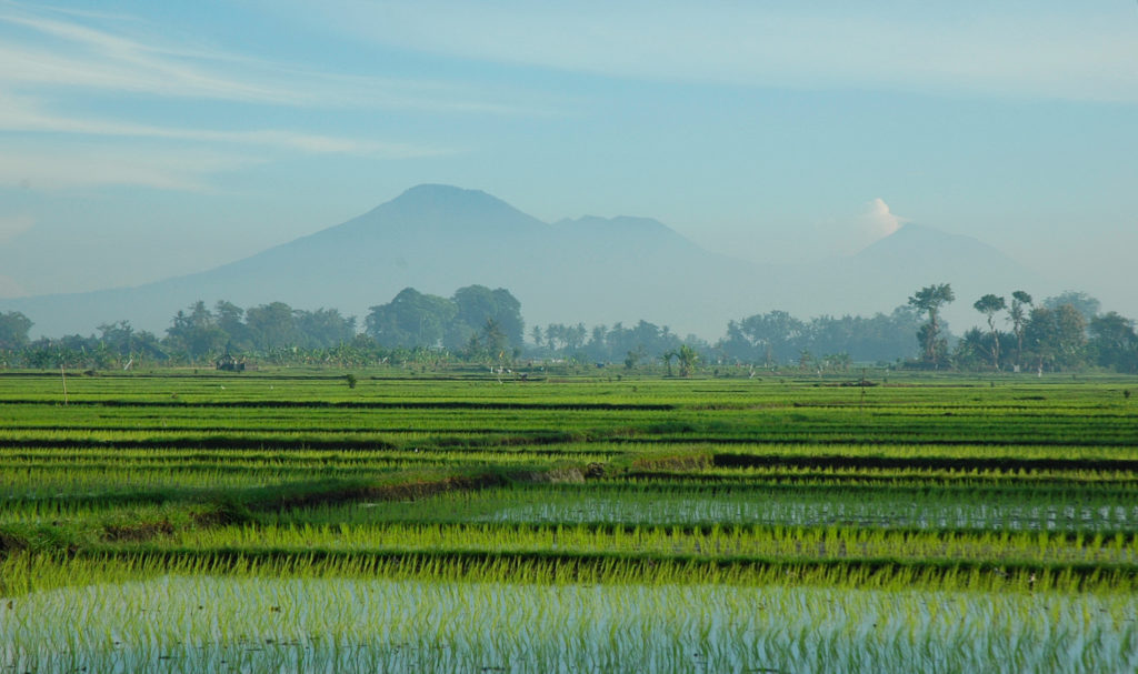 location header
